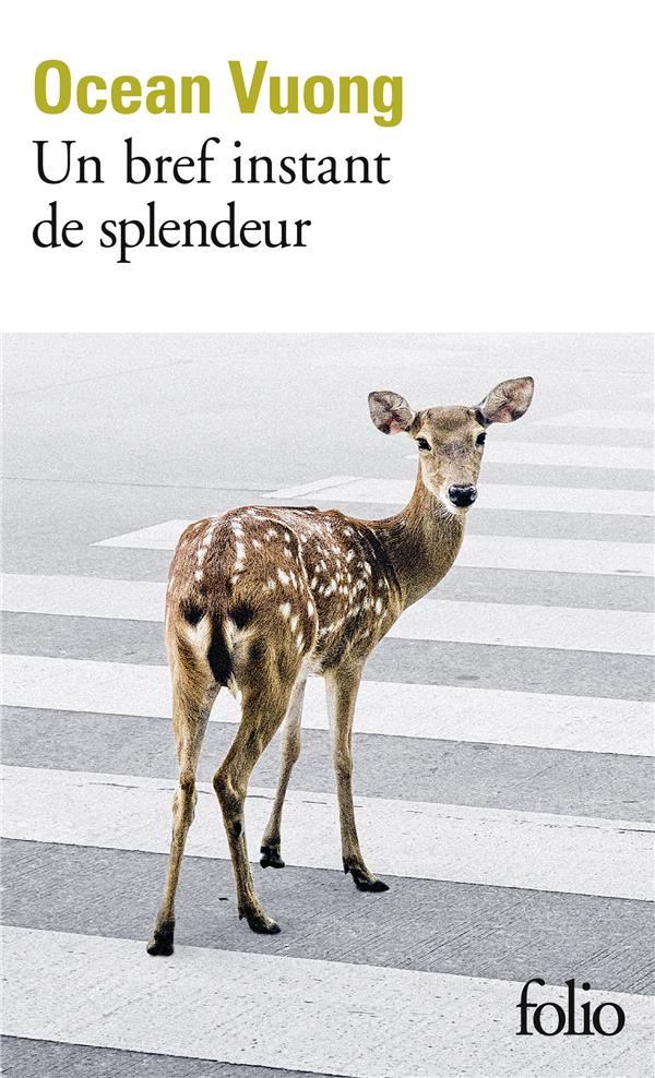  Un bref instant de splendeur 
