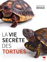 VIE SECRETE DES TORTUES -LA-
