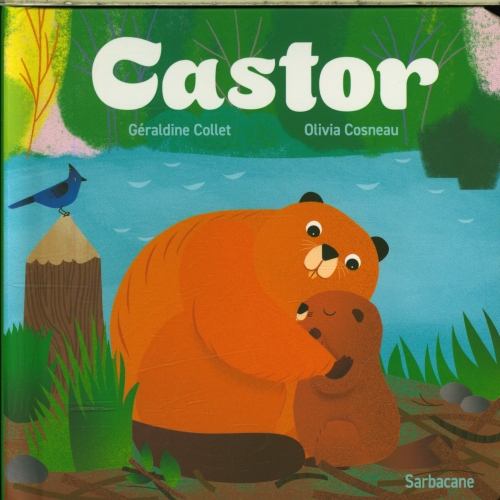  Castor 