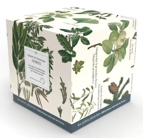  Puzzle arbres : 1000 pièces 