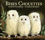 BEBES CHOUETTES TOUT CARTON