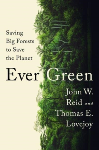  Ever Green 