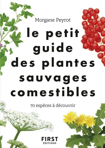 [8622332]  Le petit guide des plantes sauvages comestibles 