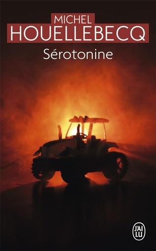 [8994614]  Sérotonine 