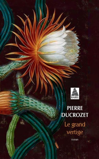 [9509238]  Le grand vertige 