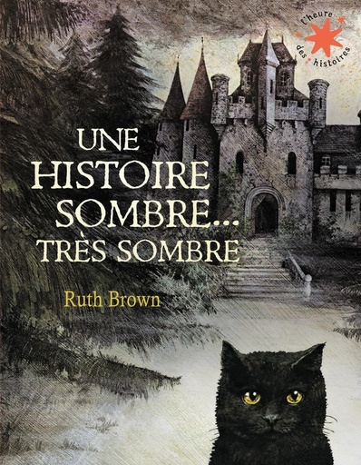 [9138348]  Une histoire sombre, très sombre 