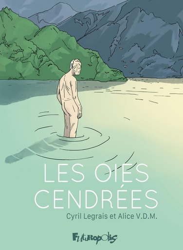 [10126718]  Les oies cendrées 