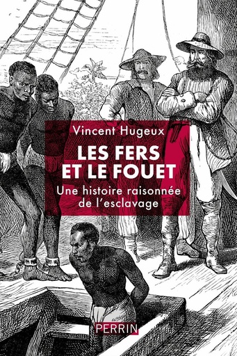 [10349907]  Les fers et le fouet : une histoire raisonnée de l'esclavage 