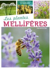 PLANTES MELLIFERES -LES-
