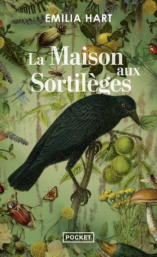 [9964522]  La maison aux sortilèges 