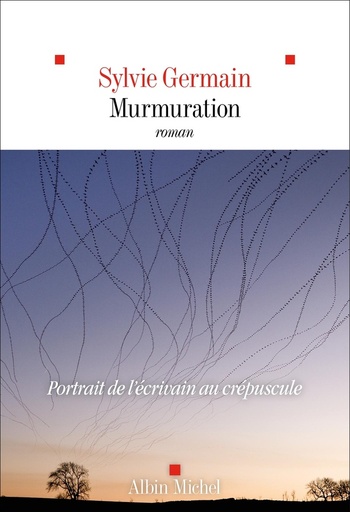 [10304978]  Murmuration 