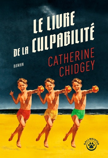 [10317571]  Le livre de la culpabilité 