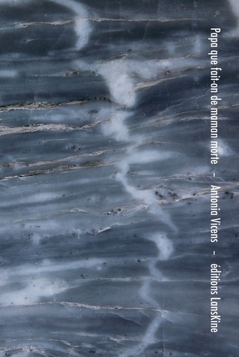 [10269964]  Papa que fait on de maman morte 