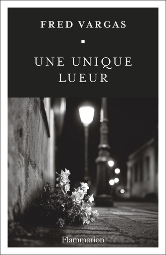 [10418775]  Une unique lueur 