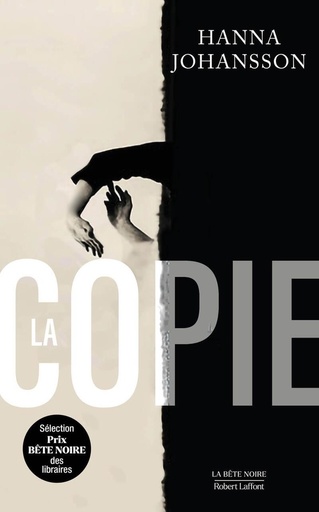 [10379327]  La copie 