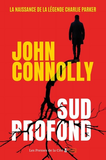 [10379270]  Sud profond 