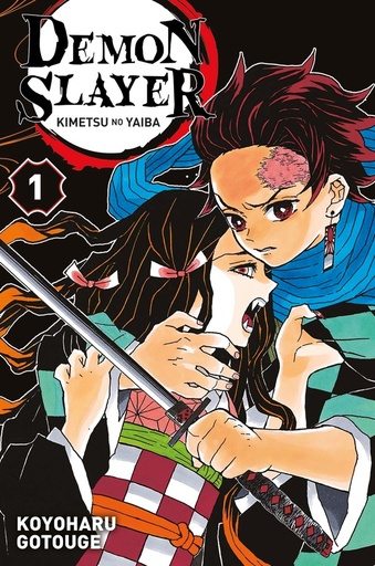 [8720455]  Demon slayer. Tome 1 