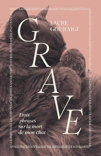 [10556423]  Grave 