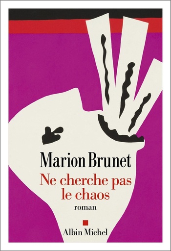 [10466505]  Ne cherche pas le chaos 