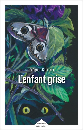 [10549989]  L'Enfant Grise 