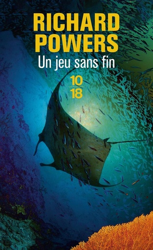 [10443933]  Un jeu sans fin 
