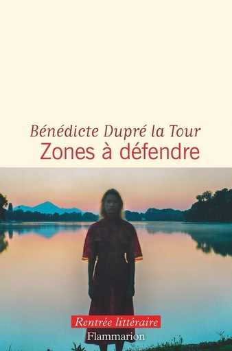 [10548073]  Zones à défendre 