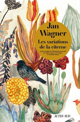 [8888024]  Les variations de la citerne 
