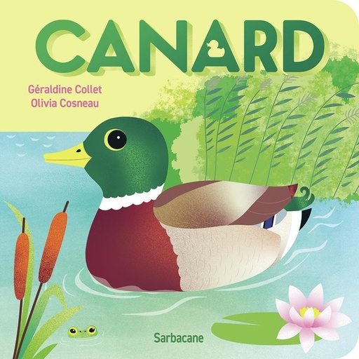 [10152515]  Canard 