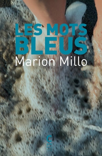 [10569914]  Les mots bleus 