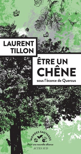 [9078427]  Etre un chêne : sous l'écorce de Quercus 