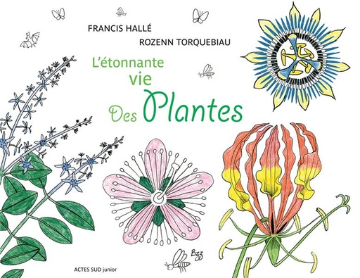 [9121952]  L'étonnante vie des plantes 