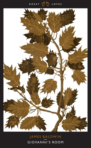 [1342119]  Giovanni's Room 