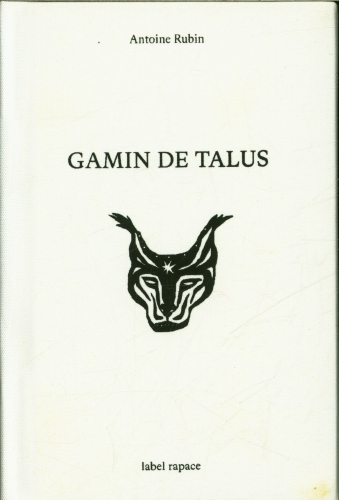 [9825898]  Gamin de talus 