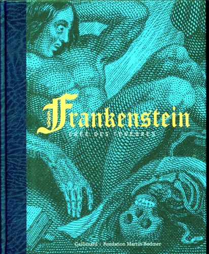 [7327927]  Frankenstein, créé des ténèbres 