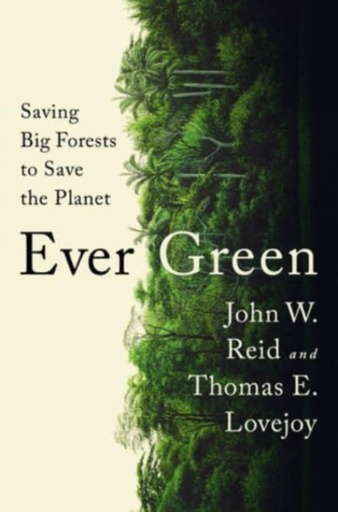 [9359432]  Ever Green 
