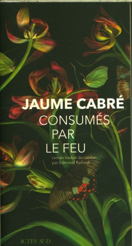 [9774195]  Consumés par le feu 