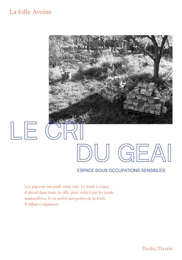[9957539]  Le cri du geai. Espace sous occupations sensibles 